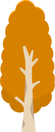 Big orange tree 3